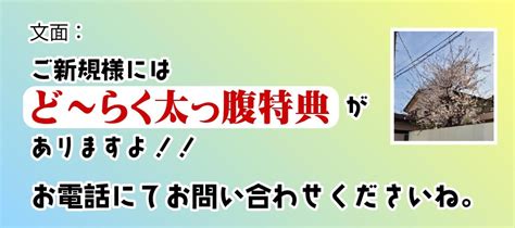 熟女道楽|新大久保 熟女風俗店 熟女道楽 熟女一覧